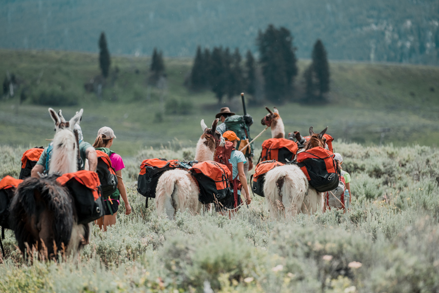 How to be a good trail buddy - Wilderness Magazine